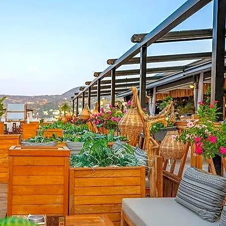 Royalisa Palmiye - Adult Only Mahmutlar