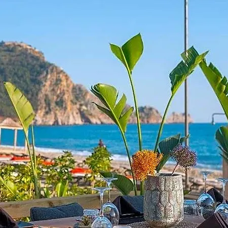 Hotel Royalisa Palmiye - Adult Only Mahmutlar